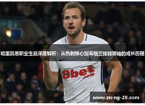 哈里凯恩职业生涯深度解析：从热刺核心到英格兰锋线领袖的成长历程