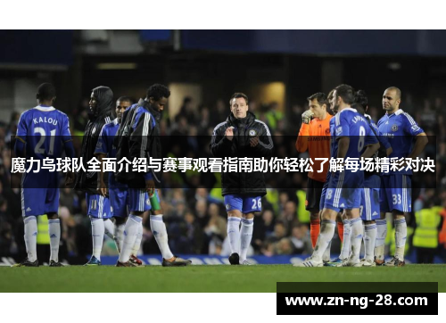魔力鸟球队全面介绍与赛事观看指南助你轻松了解每场精彩对决