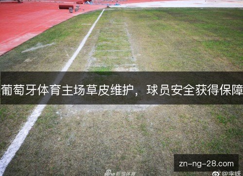 葡萄牙体育主场草皮维护，球员安全获得保障